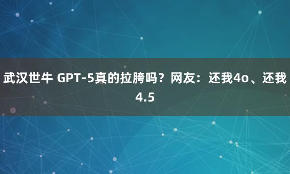 武汉世牛 GPT-5真的拉胯吗？网友：还我4o、还我4.5