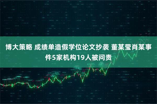 博大策略 成绩单造假学位论文抄袭 董某莹肖某事件5家机构19人被问责