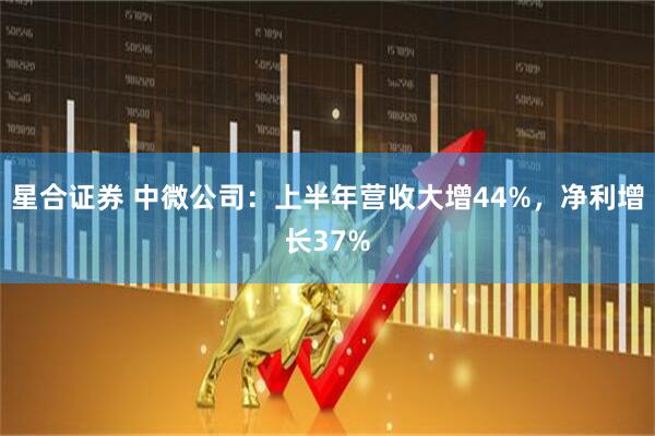 星合证券 中微公司：上半年营收大增44%，净利增长37%